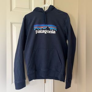 Patagonia Sweatshirt Hoodie Size Small